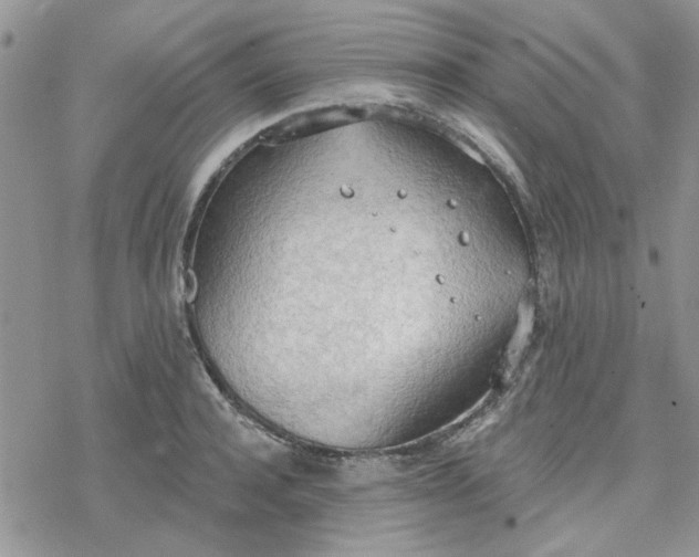 X0000078230944200611171430