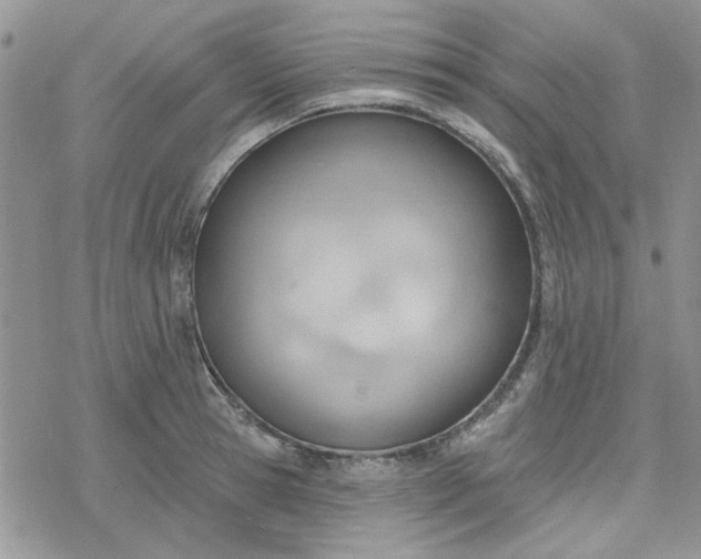 X0000078230945200611171430