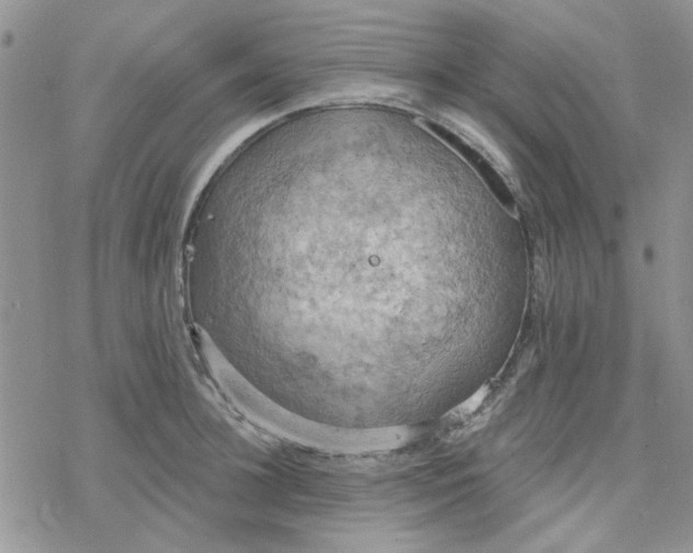 X0000078230948200611171430