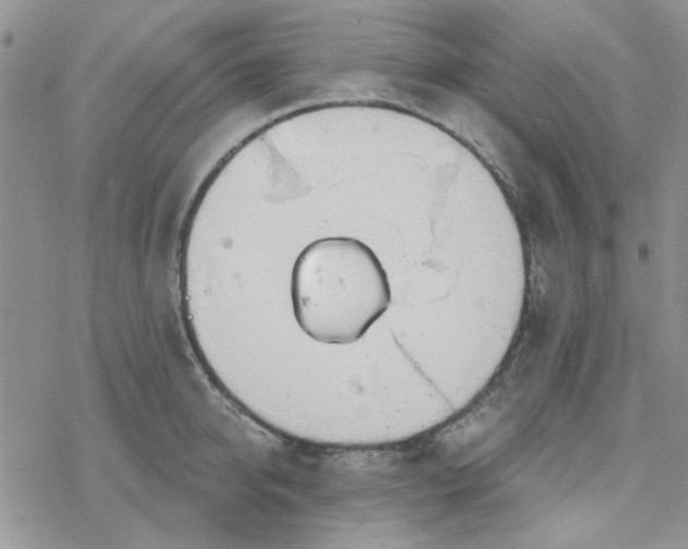 X0000078230950200611171430