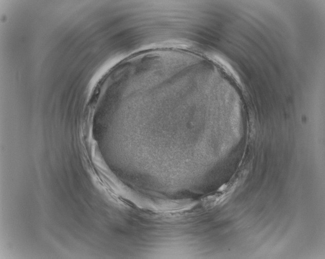 X0000078230952200611171430