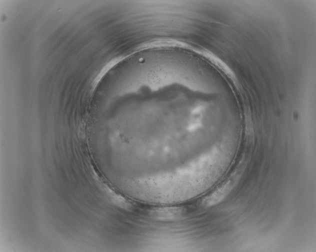 X0000078230953200611171430