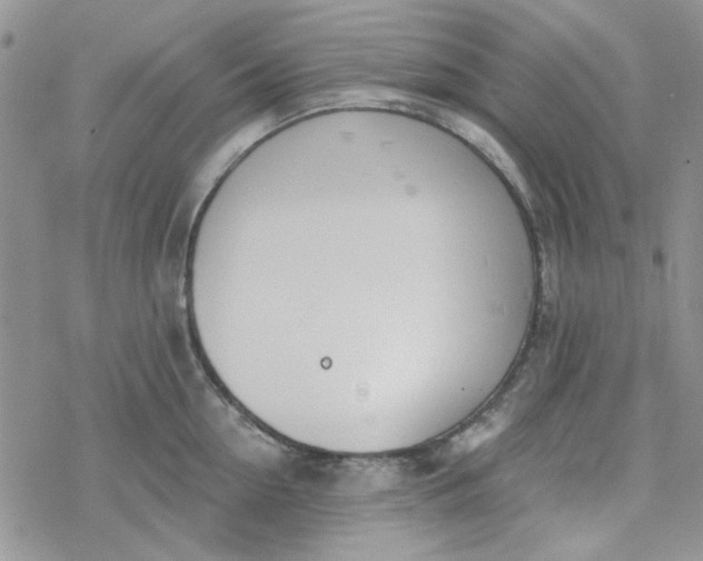 X0000078230954200611171430