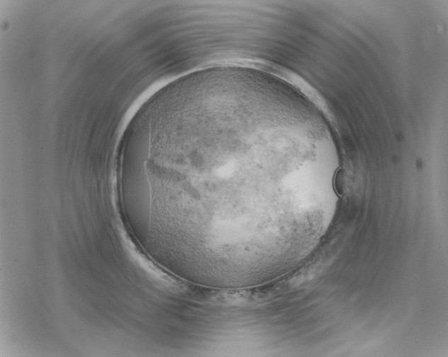 X0000078230955200611171430