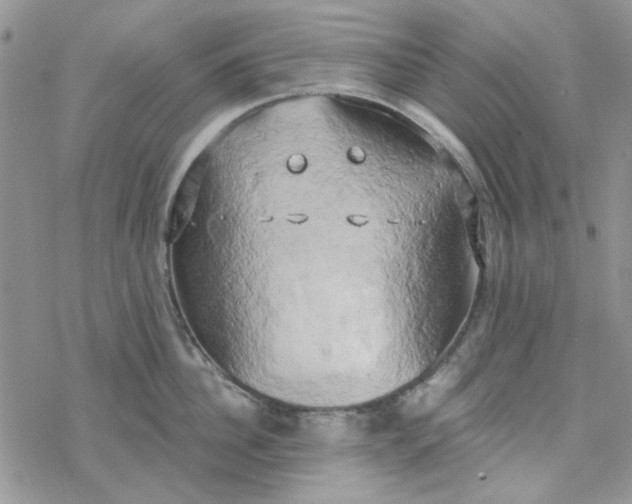 X0000078230956200611171430