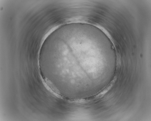 X0000078230957200611171430