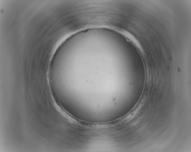 X0000078230958200611171430