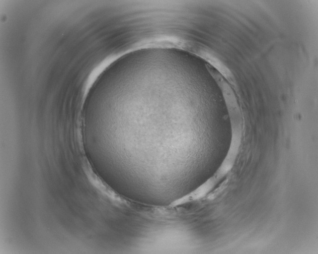 X0000078230960200611171430