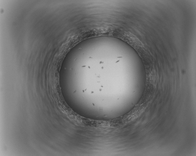 X0000078230961200611171430