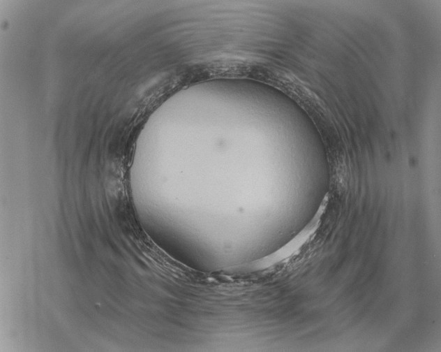 X0000078230964200611171429