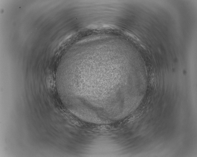 X0000078230966200611171429