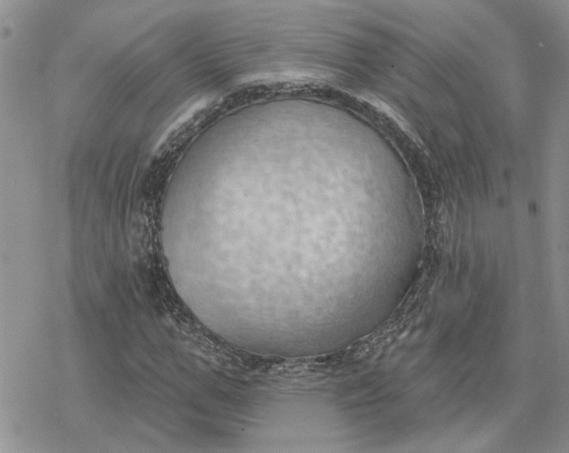 X0000078230967200611171429