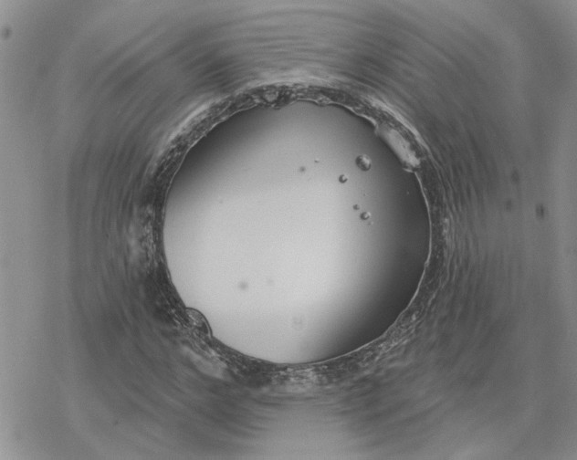 X0000078230968200611171429