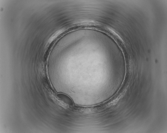 X0000078230970200611171429