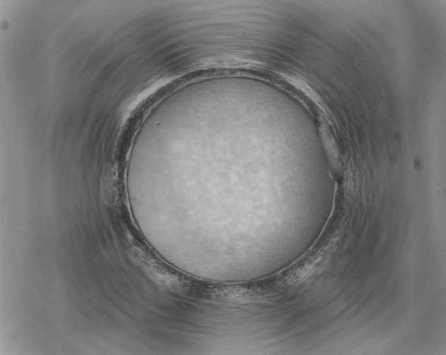 X0000078230971200611171429