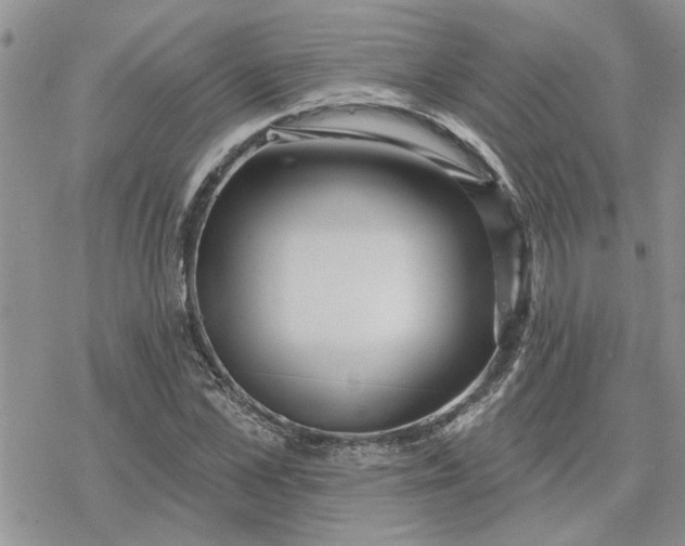 X0000078230973200611171429