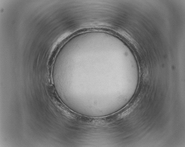 X0000078230974200611171429