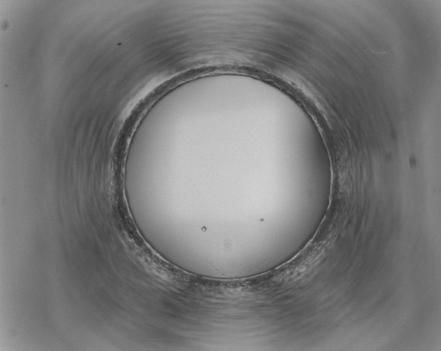 X0000078230975200611171429