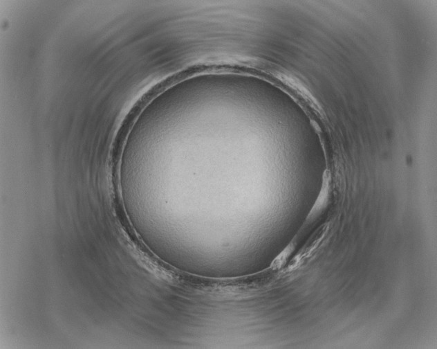 X0000078230976200611171429