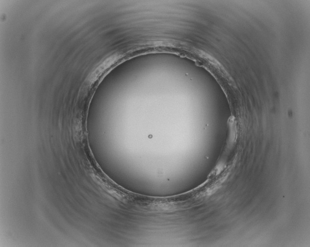 X0000078230977200611171429