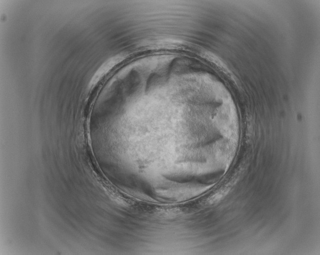 X0000078230978200611171429