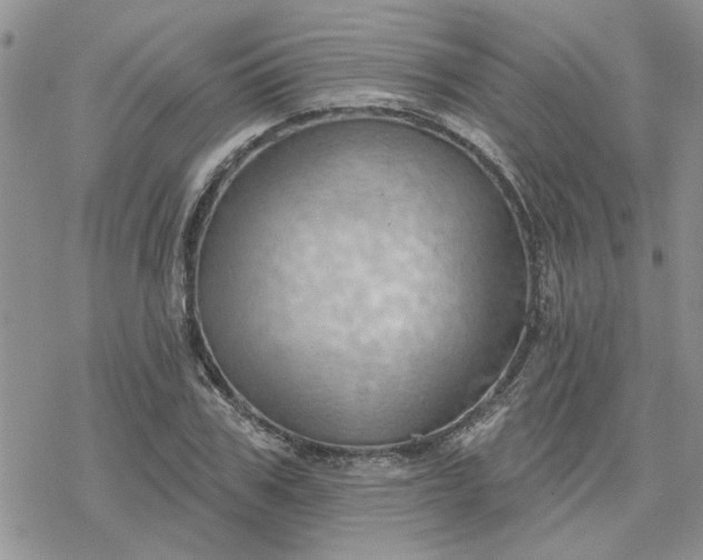 X0000078230979200611171429