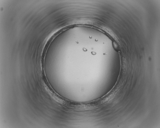 X0000078230980200611171429