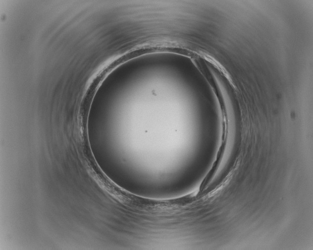 X0000078230981200611171429