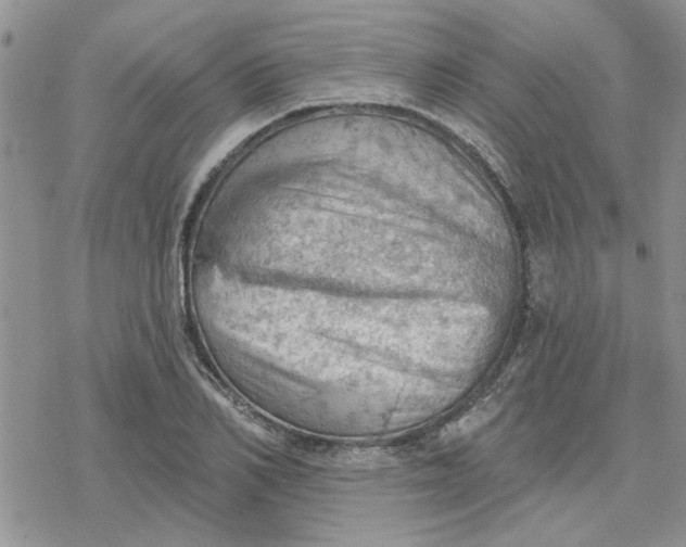 X0000078230982200611171429