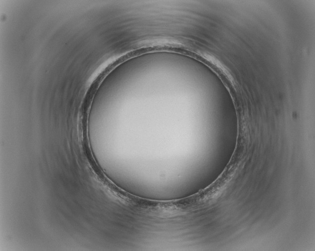 X0000078230983200611171429