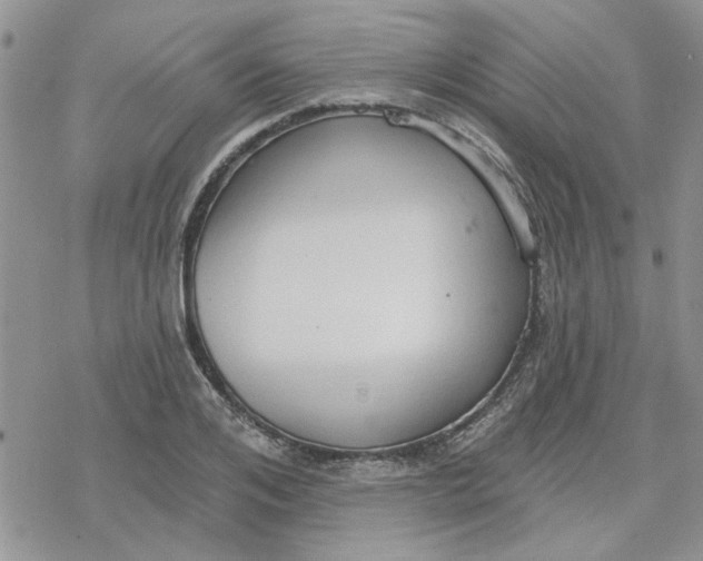 X0000078230984200611171429