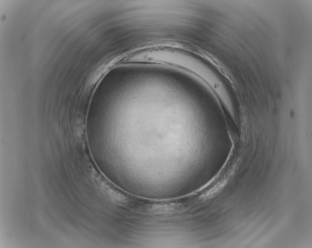 X0000078230985200611171429