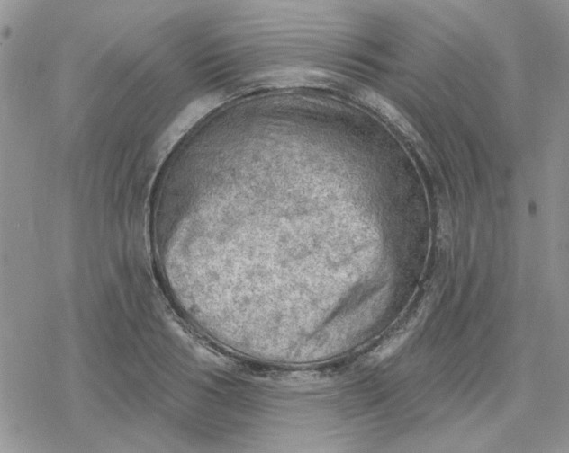 X0000078230986200611171429