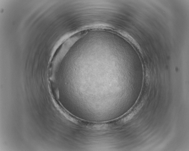 X0000078230989200611171429