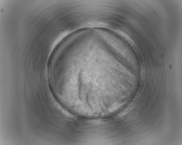 X0000078230990200611171429