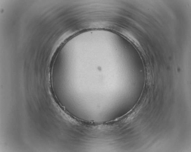 X0000078230992200611171429