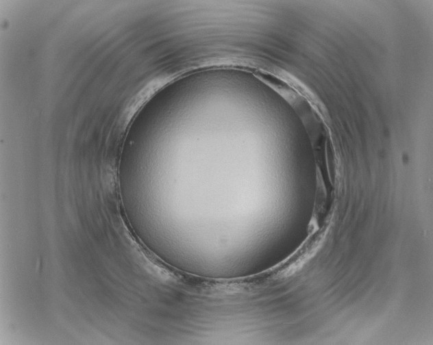 X0000078230993200611171429