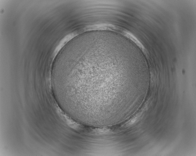 X0000078230994200611171429