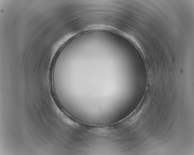 X0000078230995200611171429