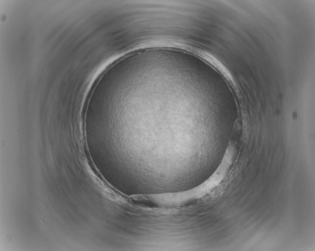 X0000078230996200611171429