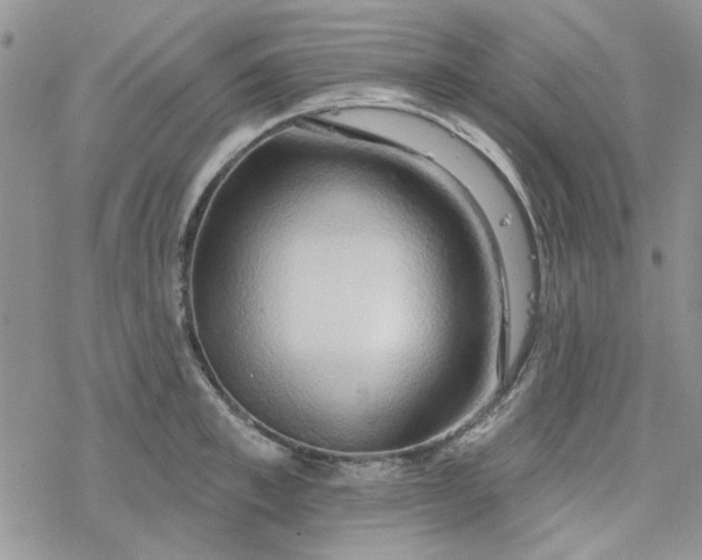 X0000078230997200611171429