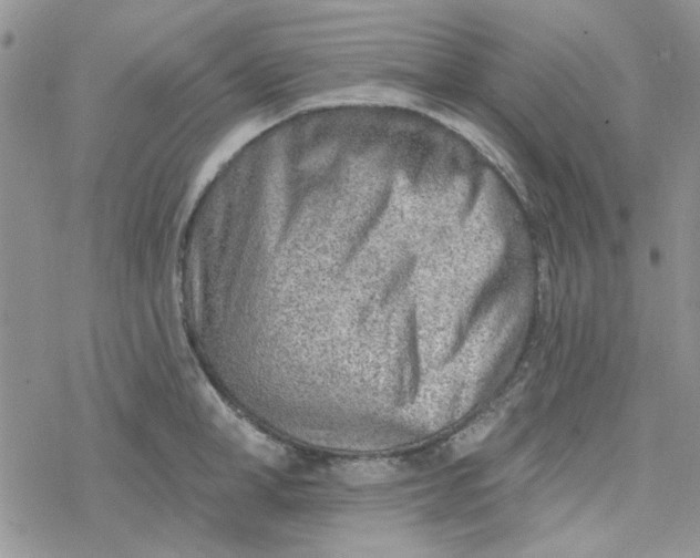 X0000078230998200611171429