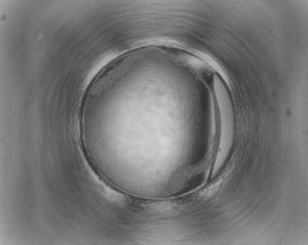 X0000078230999200611171429