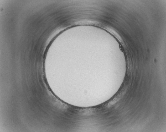 X0000078231000200611171429