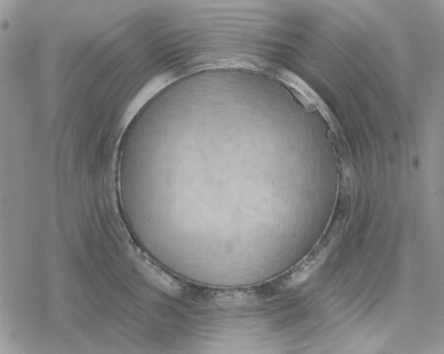 X0000078231002200611171429