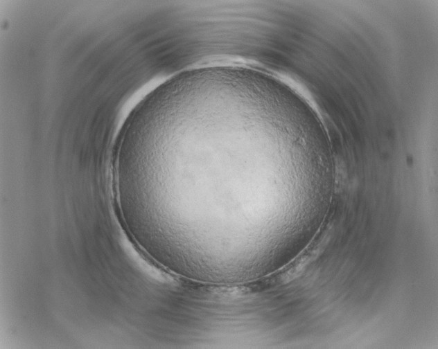 X0000078231003200611171429