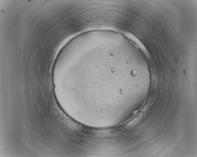 X0000078231004200611171429