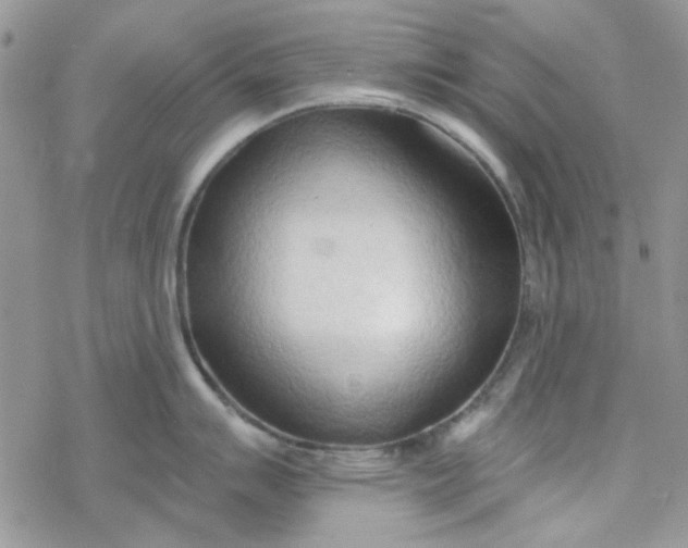 X0000078231007200611171429