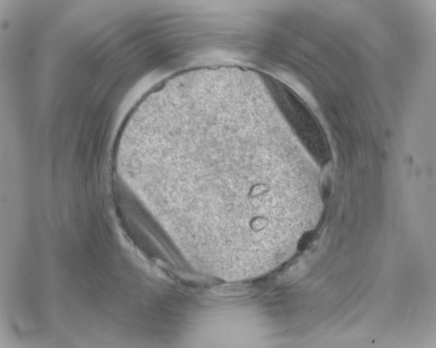 X0000078231008200611171429