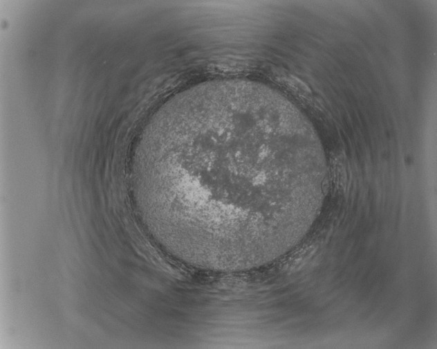 X0000078231009200611171428